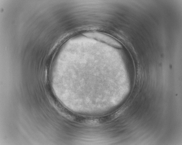 X0000052570110200507292016