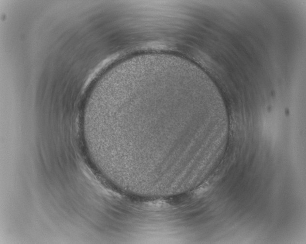 X0000052570112200507292016