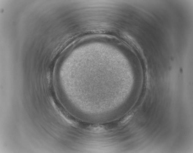 X0000052570113200507292016