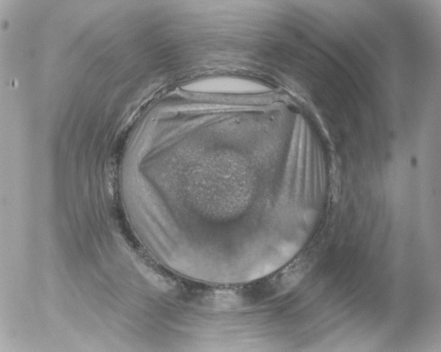 X0000052570114200507292016