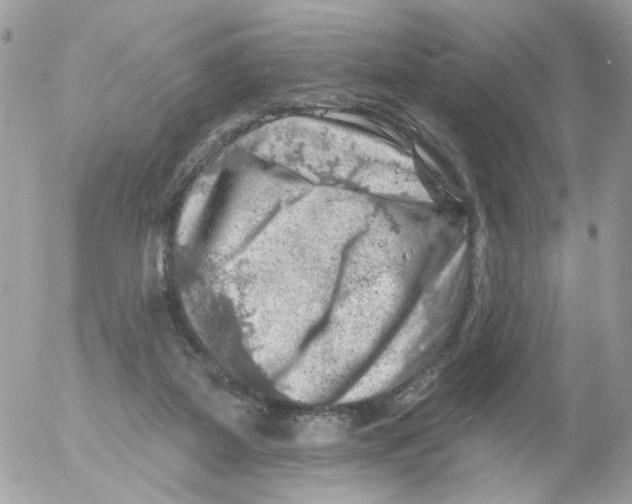 X0000052570115200507292016