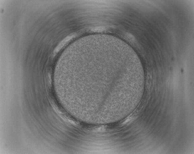 X0000052570116200507292016