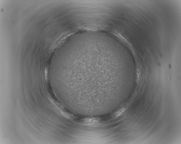 X0000052570117200507292016