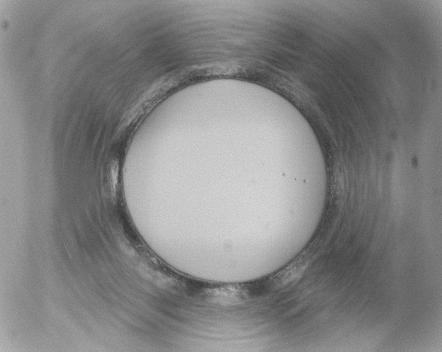 X0000052570118200507292016