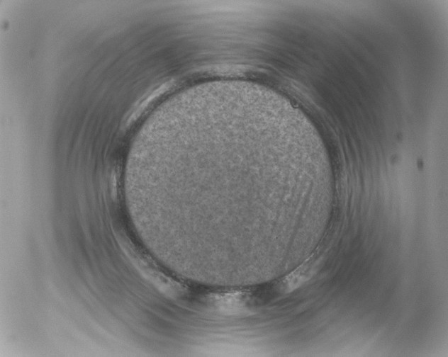 X0000052570120200507292016