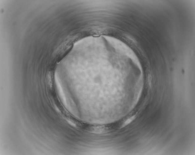 X0000052570121200507292016