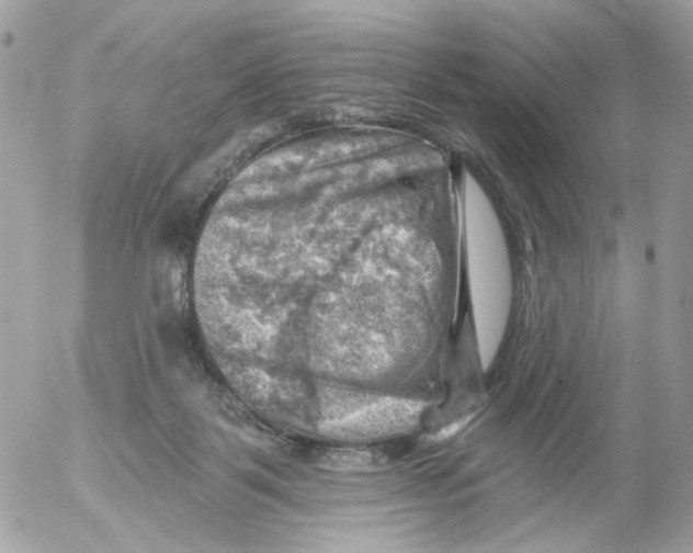 X0000052570123200507292016