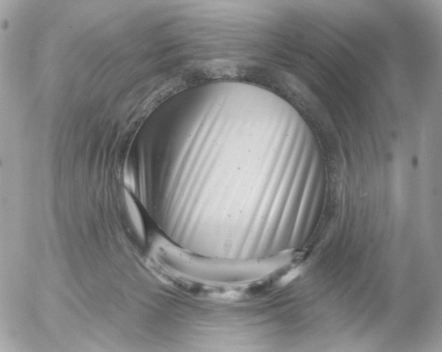 X0000052570125200507292016