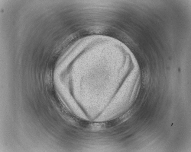 X0000052570126200507292016