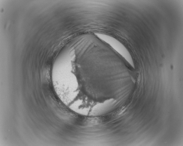 X0000052570127200507292016