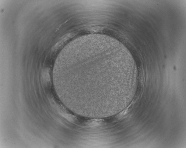 X0000052570128200507292016