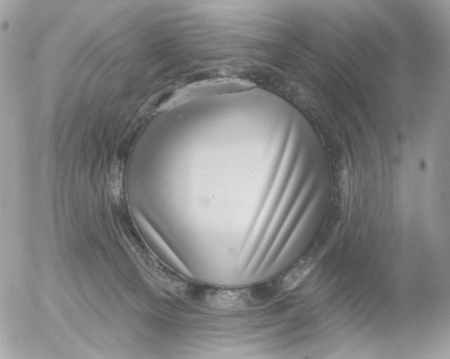 X0000052570129200507292016