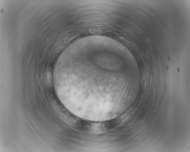 X0000052570130200507292016