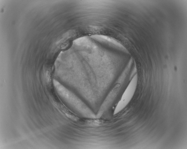 X0000052570131200507292016