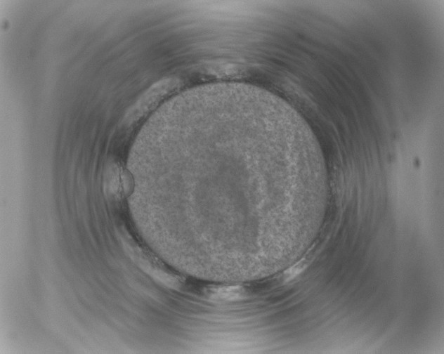 X0000052570132200507292016