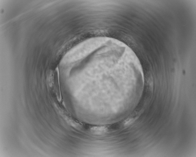 X0000052570133200507292016