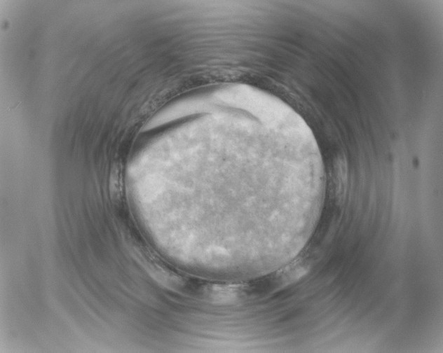 X0000052570134200507292016