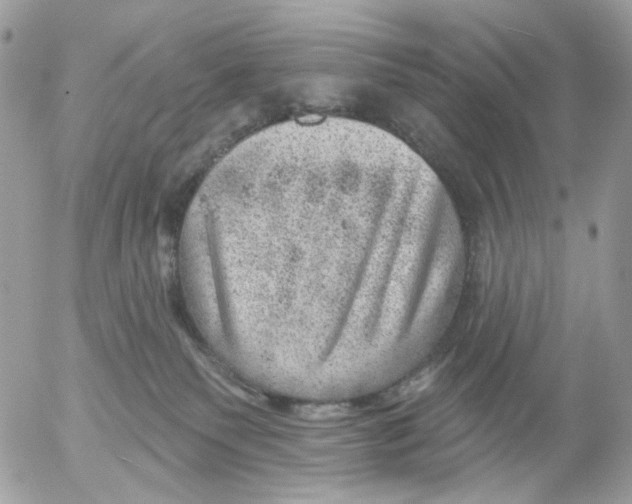 X0000052570135200507292016