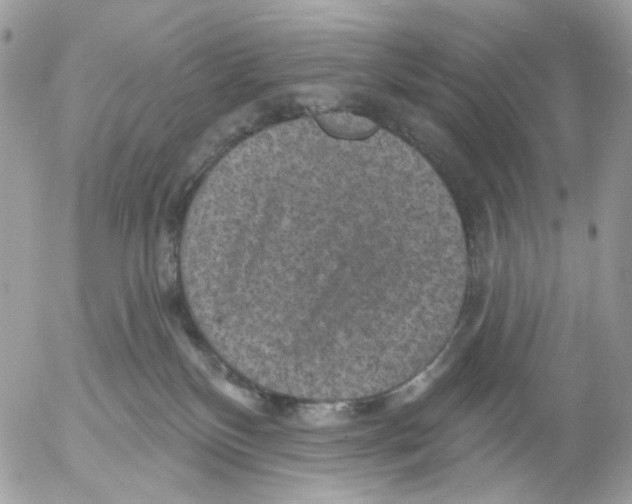 X0000052570136200507292016