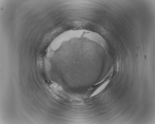 X0000052570137200507292016