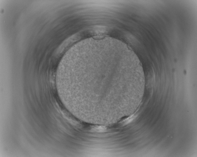 X0000052570140200507292016