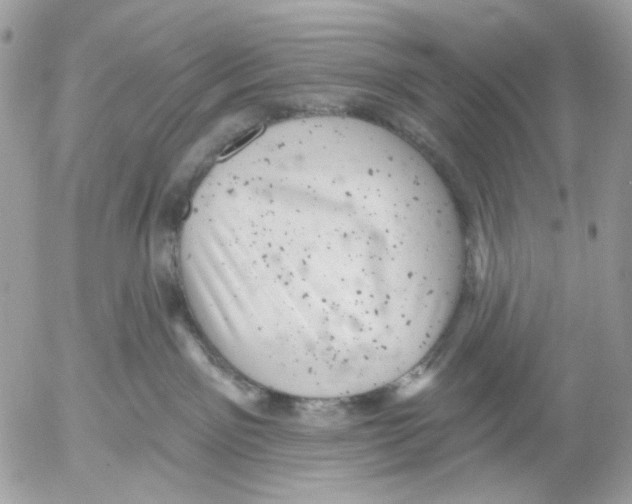 X0000052570141200507292016