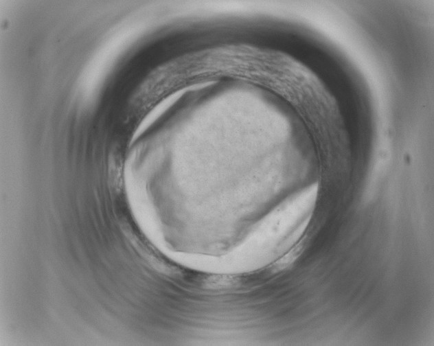 X0000052570142200507292016