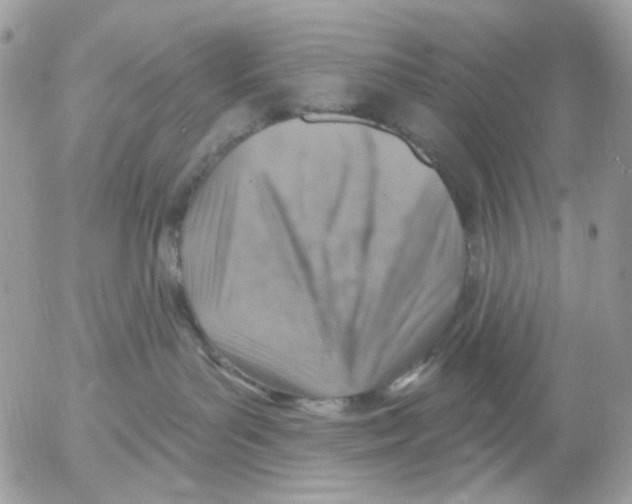 X0000052570143200507292016