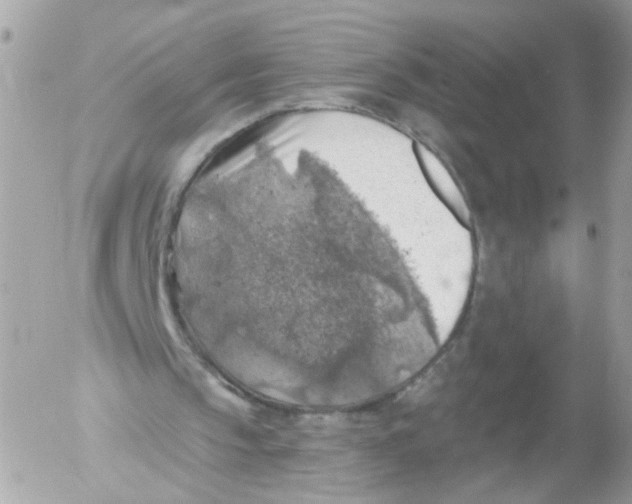 X0000052570145200507292015