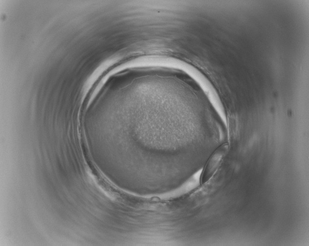 X0000052570147200507292015