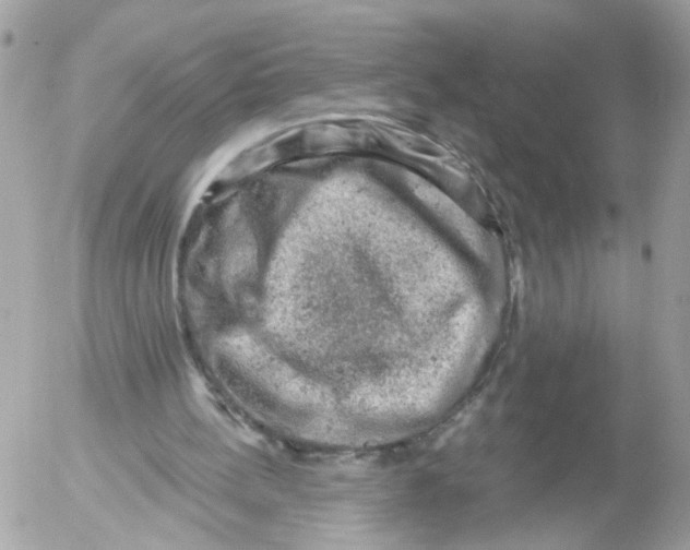 X0000052570148200507292015