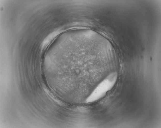 X0000052570149200507292015