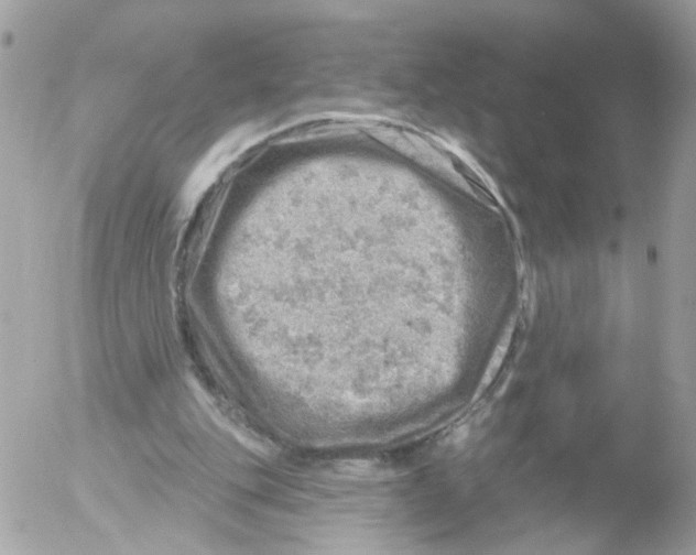 X0000052570151200507292015