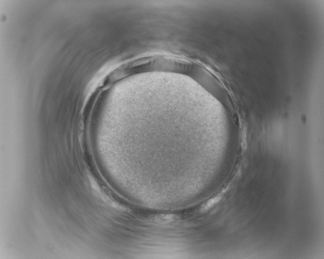 X0000052570152200507292015