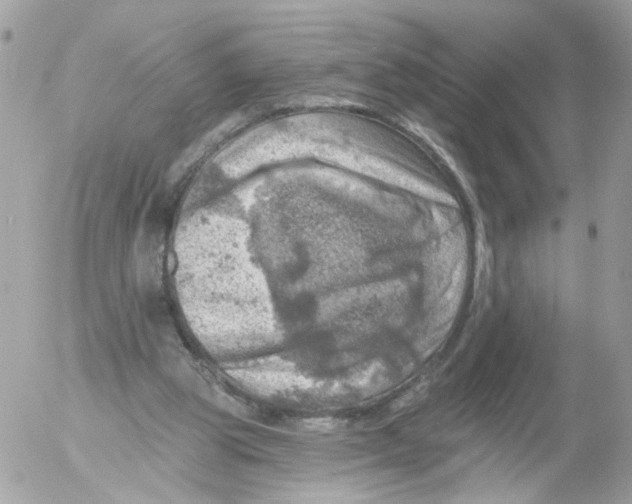 X0000052570153200507292015