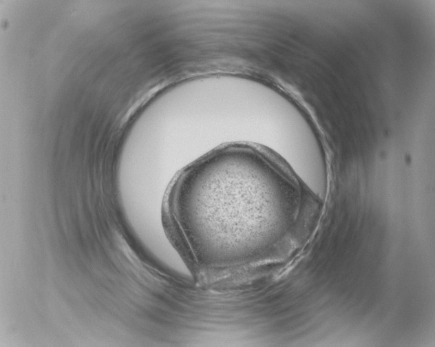 X0000052570154200507292015