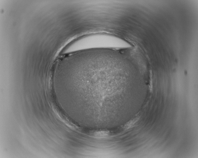 X0000052570156200507292015