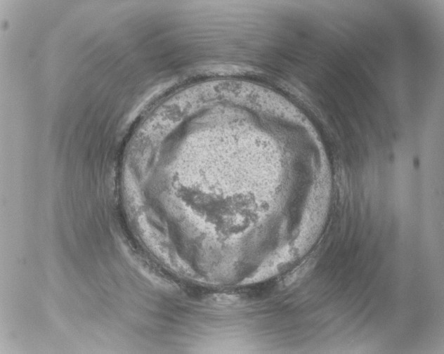 X0000052570159200507292015