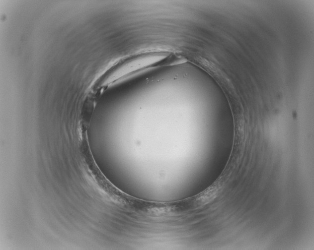 X0000052570160200507292015