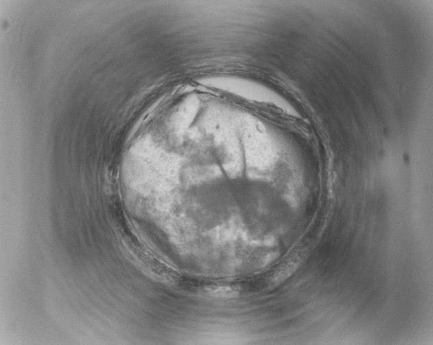 X0000052570161200507292015