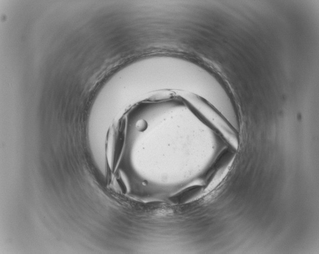 X0000052570162200507292015