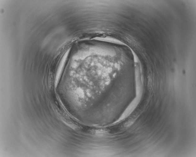 X0000052570165200507292015