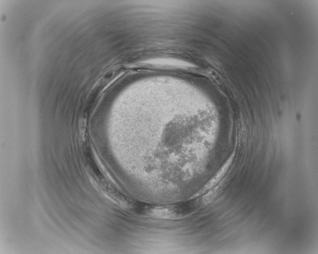 X0000052570171200507292015