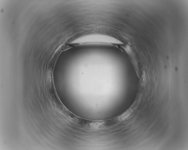 X0000052570172200507292015