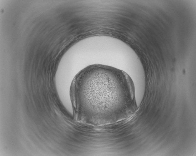 X0000052570176200507292016