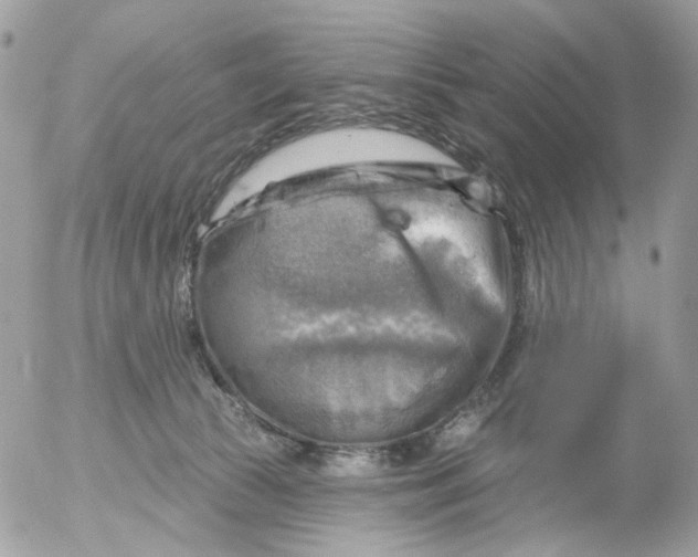 X0000052570177200507292016