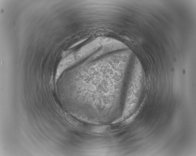 X0000052570178200507292016