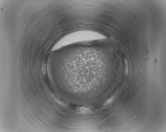 X0000052570180200507292016