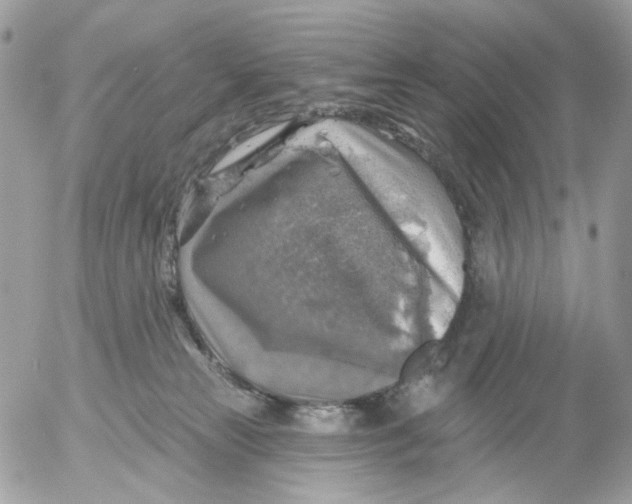 X0000052570181200507292016