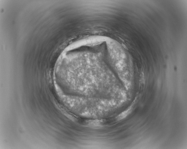 X0000052570182200507292016